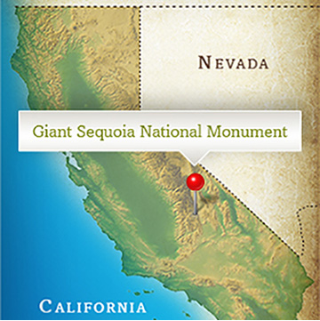 california